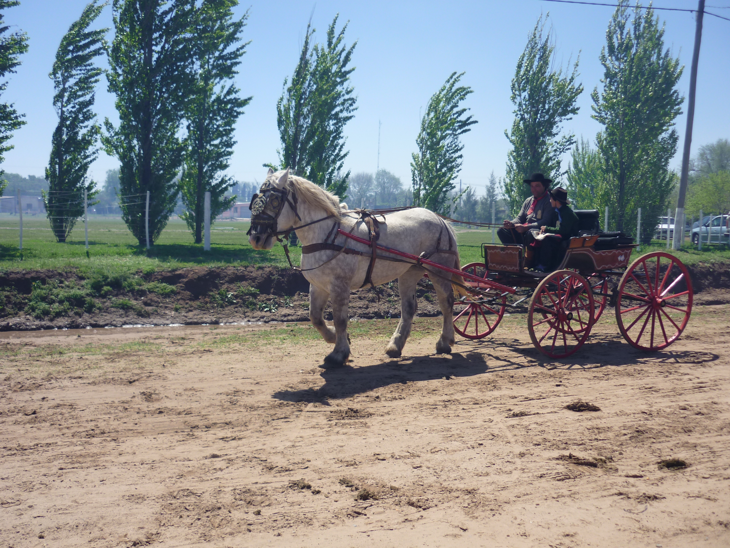 fotos/2009-10-11 - Fiesta del Cordero/P1000426.JPG